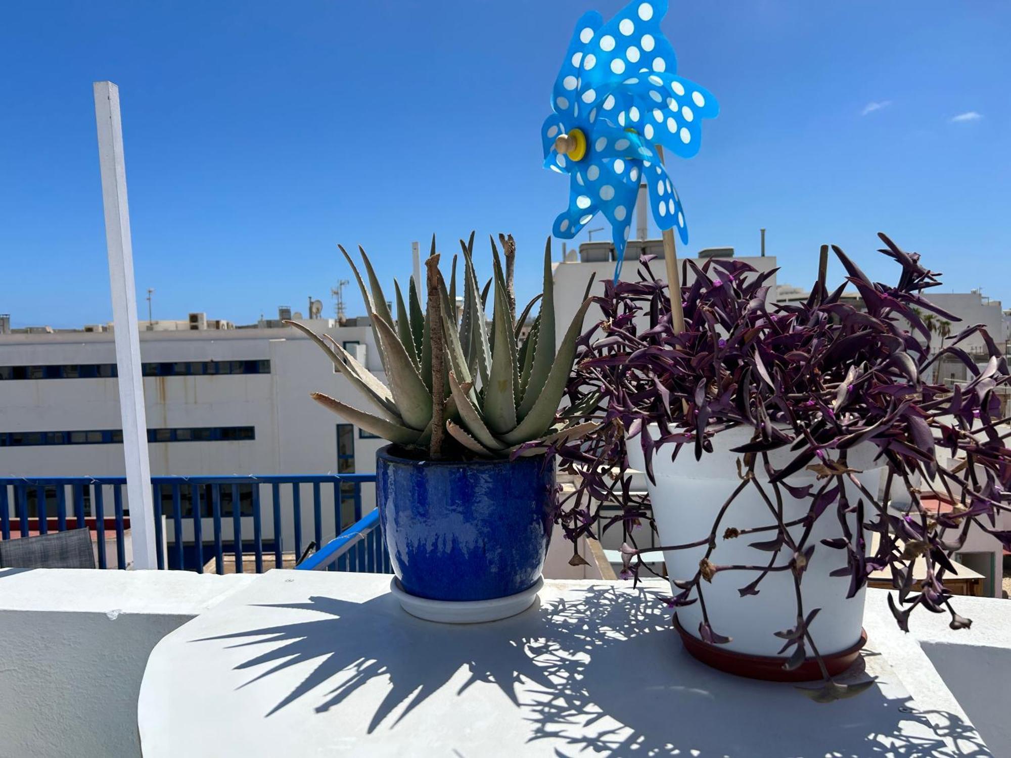 La Buganvilla Rooms أرّاثيفي المظهر الخارجي الصورة