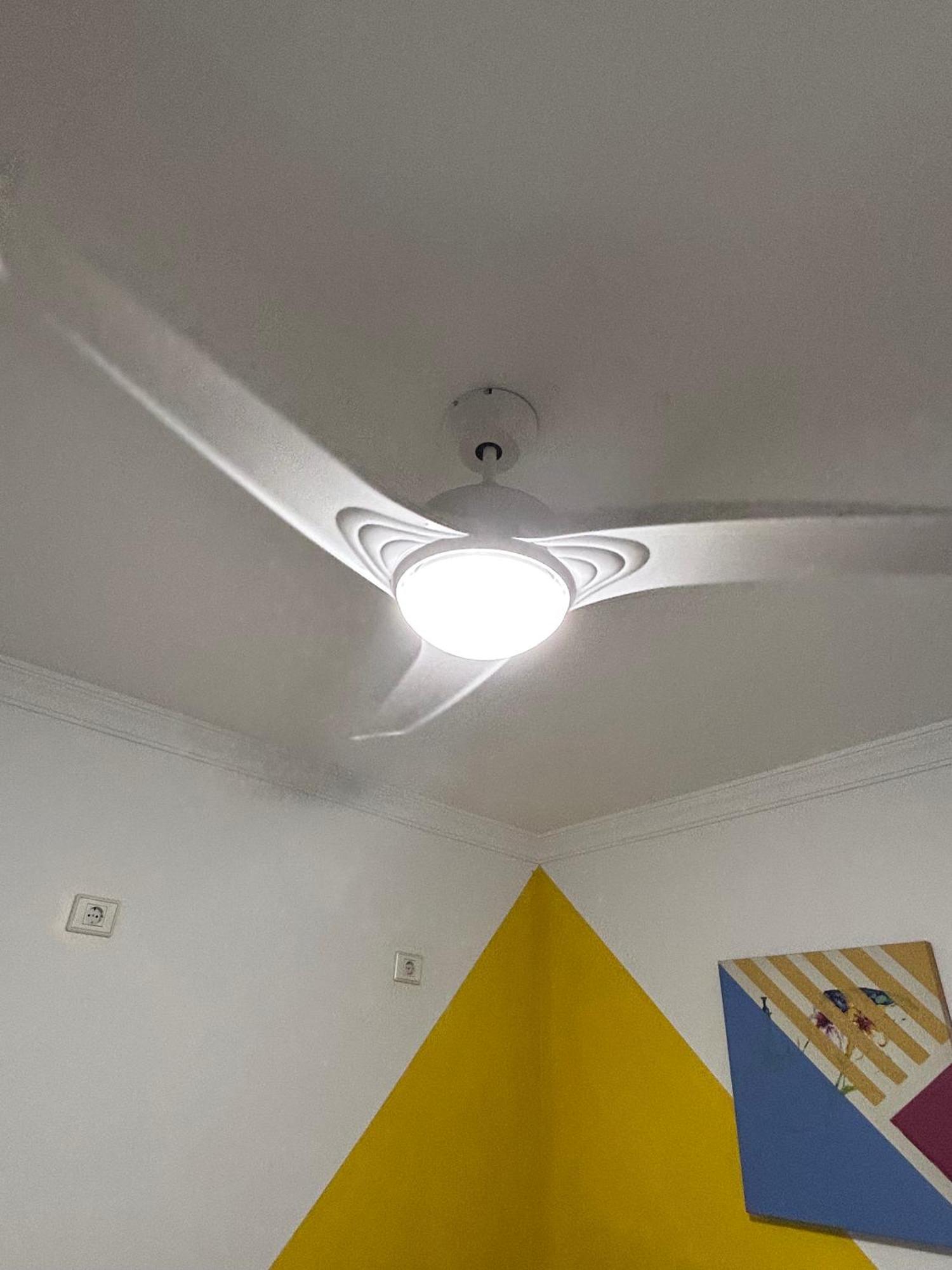 La Buganvilla Rooms أرّاثيفي المظهر الخارجي الصورة